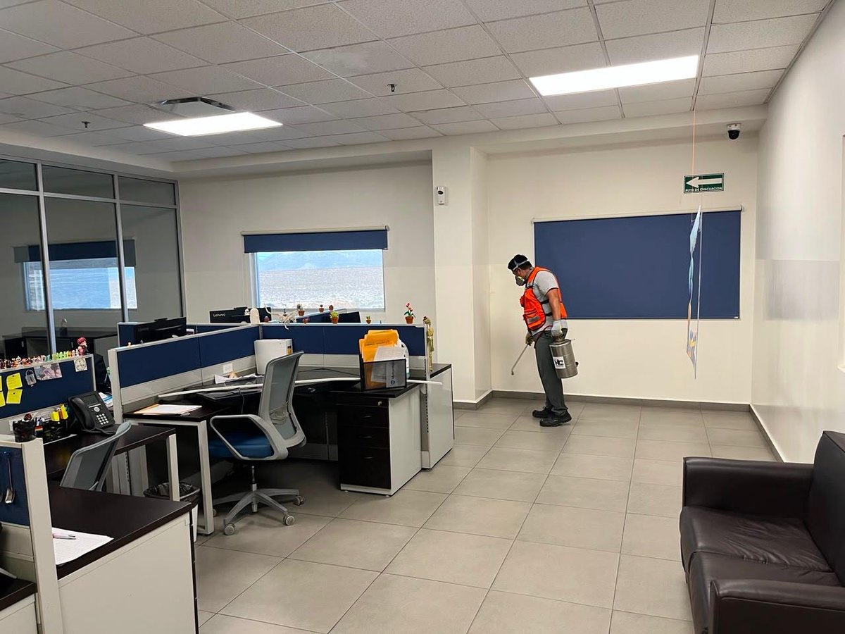 Servicio de control de plagas en oficinas