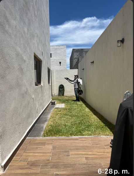 Fumigación de patio en casa habitación