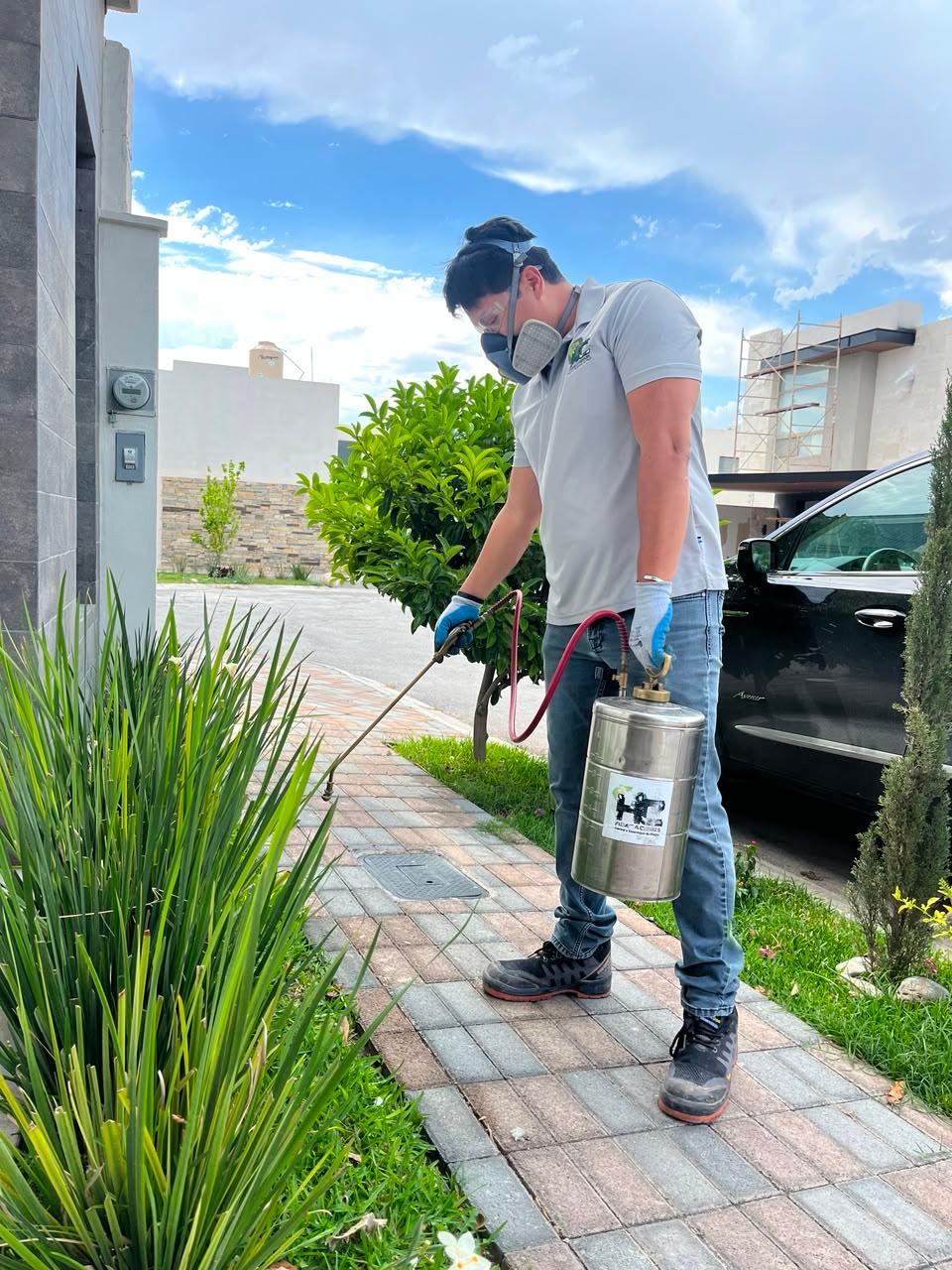 Fumigación de jardín y acceso en casa habitación