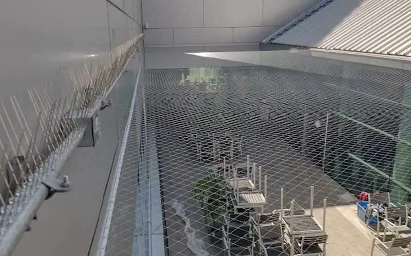 Malla y púas instaladas para control de aves