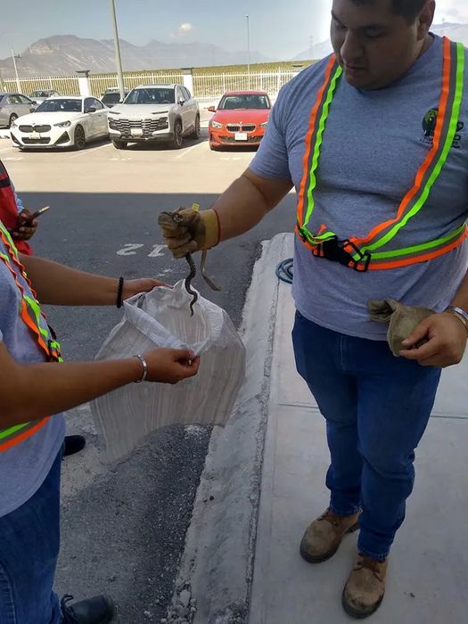 Manejo responsable de fauna