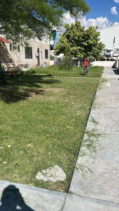 Paisajismo